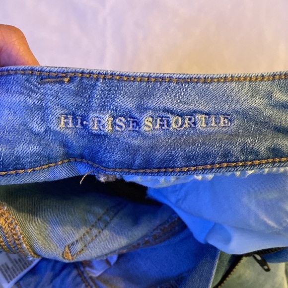 American Eagle Shorts - Picture 3 of 5